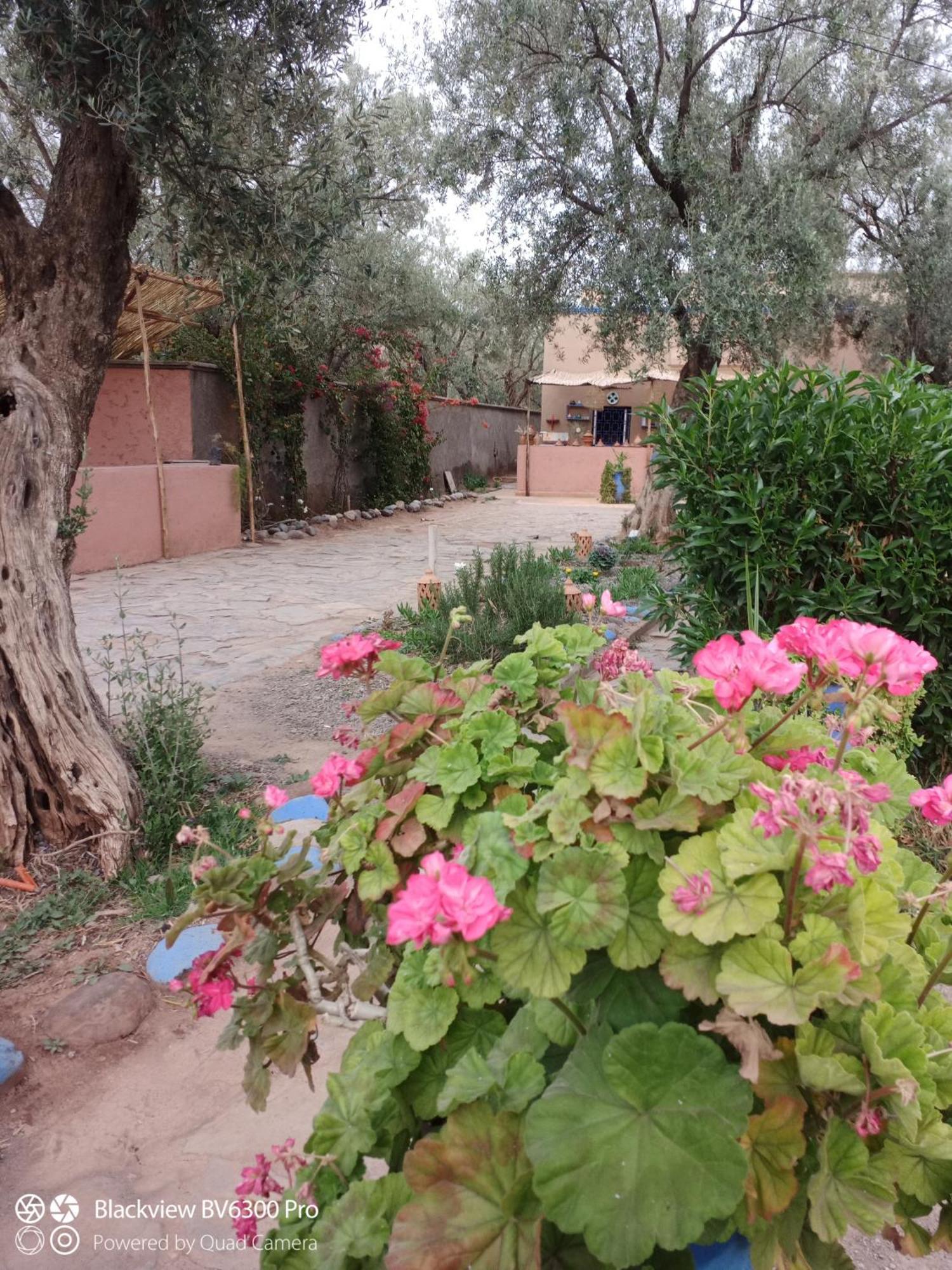 Appartamento Les Delices D Aya Tahanaout Esterno foto